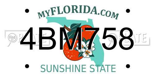 4BM758 Florida License Plate