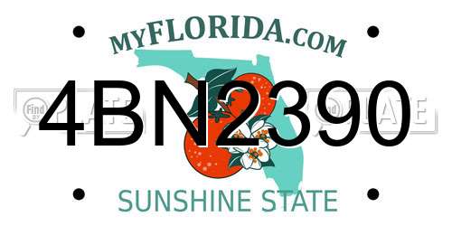 4BN2390 Florida License Plate