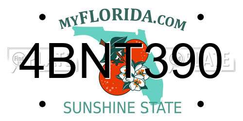 4BNT390 Florida License Plate