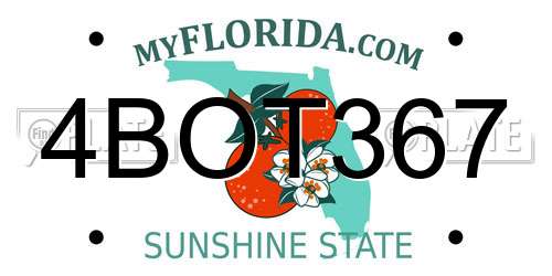 4BOT367 Florida License Plate