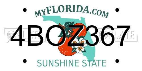 4BOZ367 Florida License Plate
