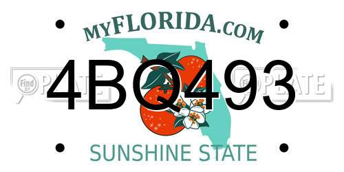 4BQ493 Florida License Plate