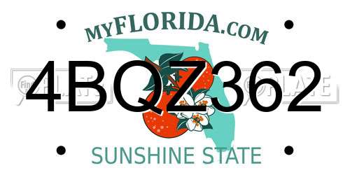 4BQZ362 Florida License Plate