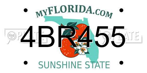 4BR455 Florida License Plate