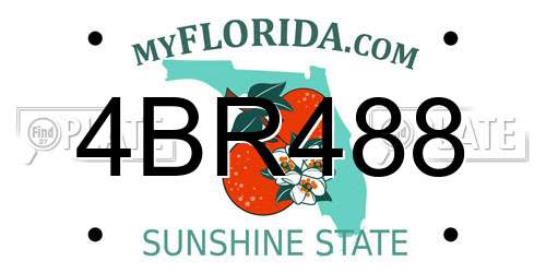 4BR488 Florida License Plate