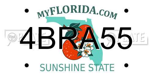 4BRA55 Florida License Plate