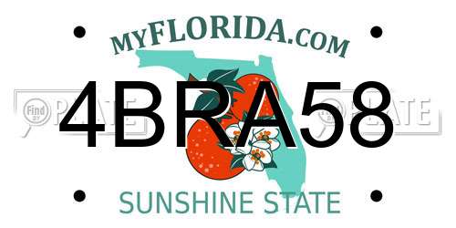 4BRA58 Florida License Plate