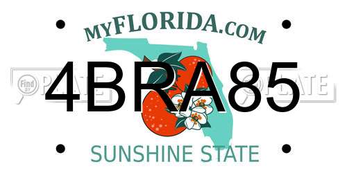 4BRA85 Florida License Plate