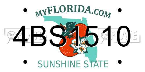 4BS1510 Florida License Plate