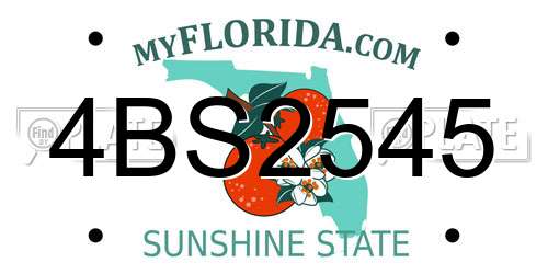 4BS2545 Florida License Plate