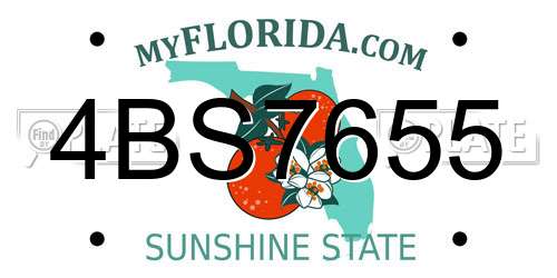 4BS7655 Florida License Plate