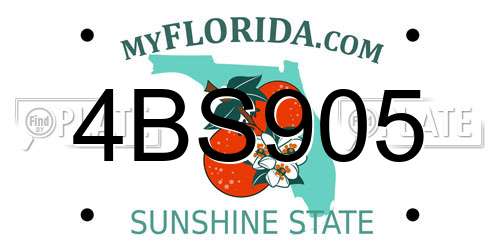 4BS905 Florida License Plate