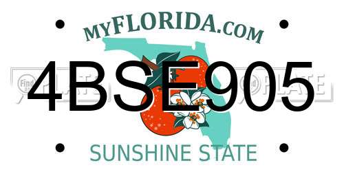 4BSE905 Florida License Plate