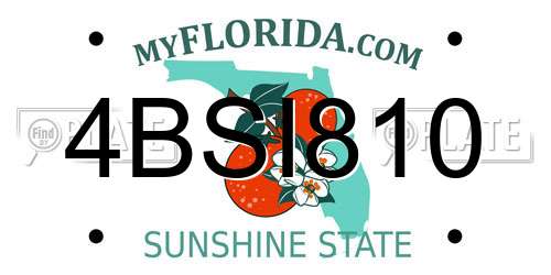 4BSI810 Florida License Plate