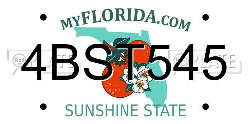 4BST545 Florida License Plate