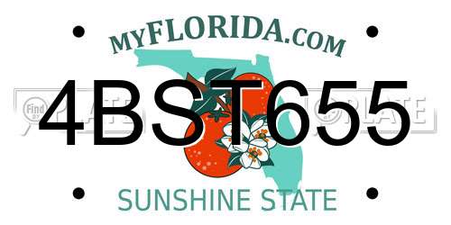 4BST655 Florida License Plate
