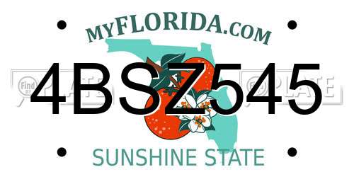 4BSZ545 Florida License Plate