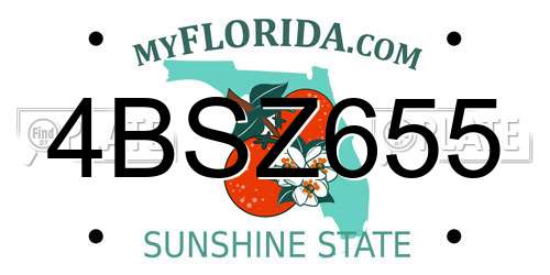 4BSZ655 Florida License Plate