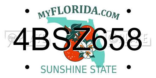 4BSZ658 Florida License Plate