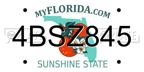 4BSZ845 Florida License Plate