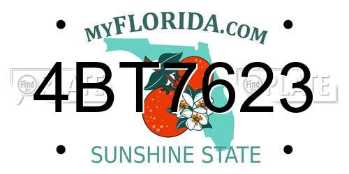 4BT7623 Florida License Plate