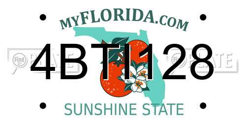 4BTI128 Florida License Plate