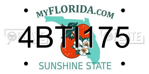 4BTI175 Florida License Plate