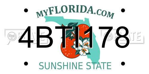 4BTI178 Florida License Plate