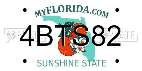 4BTS82 Florida License Plate