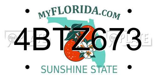 4BTZ673 Florida License Plate
