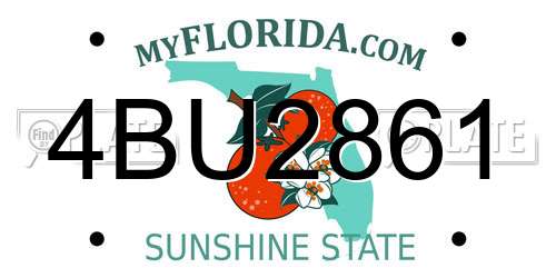 4BU2861 Florida License Plate