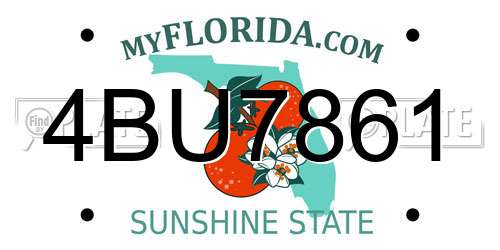 4BU7861 Florida License Plate