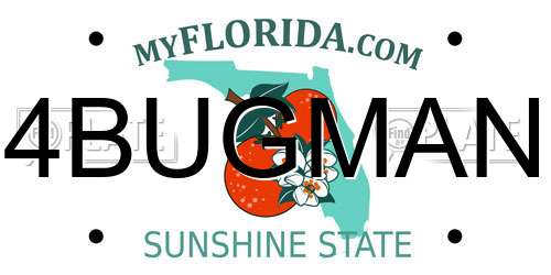 4BUGMAN Florida License Plate