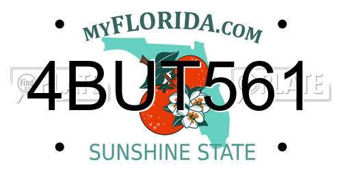 4BUT561 Florida License Plate