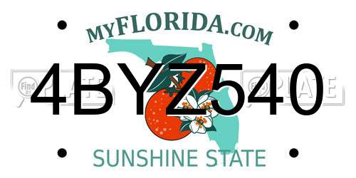 4BYZ540 Florida License Plate