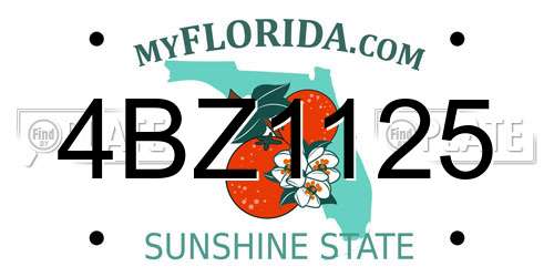 4BZ1125 Florida License Plate