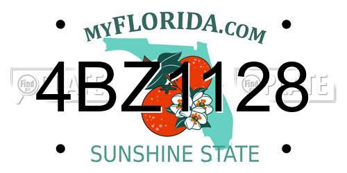 4BZ1128 Florida License Plate