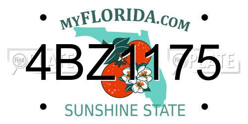 4BZ1175 Florida License Plate