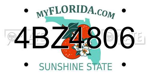 4BZ4806 Florida License Plate
