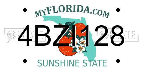 4BZI128 Florida License Plate