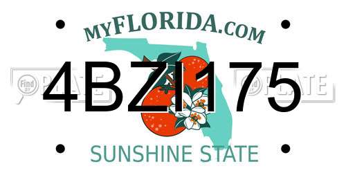 4BZI175 Florida License Plate