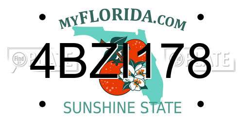 4BZI178 Florida License Plate