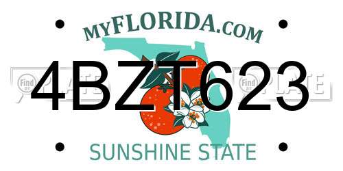 4BZT623 Florida License Plate