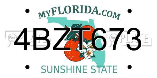 4BZT673 Florida License Plate