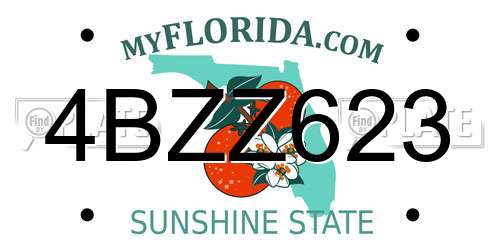 4BZZ623 Florida License Plate