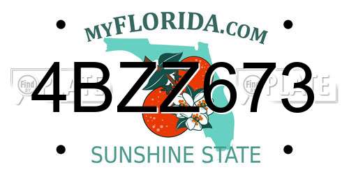 4BZZ673 Florida License Plate
