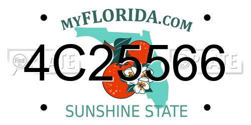 4C25566 Florida License Plate