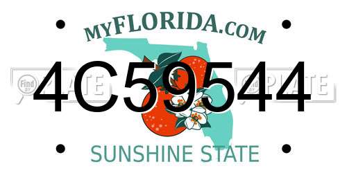 4C59544 Florida License Plate