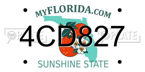 4CD827 Florida License Plate