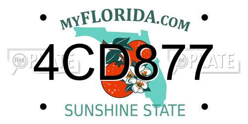 4CD877 Florida License Plate